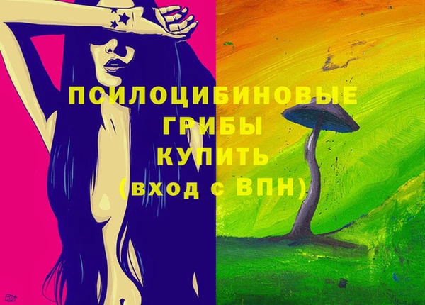 ПСИЛОЦИБИНОВЫЕ ГРИБЫ Алексин