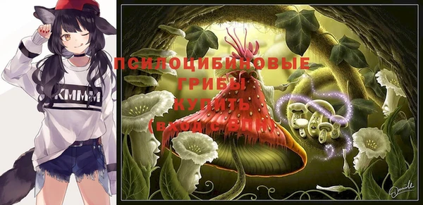 молекула духа Алексеевка
