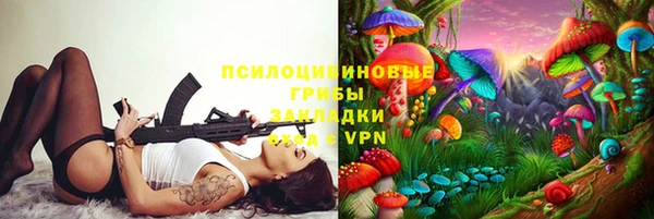 молекула духа Алексеевка